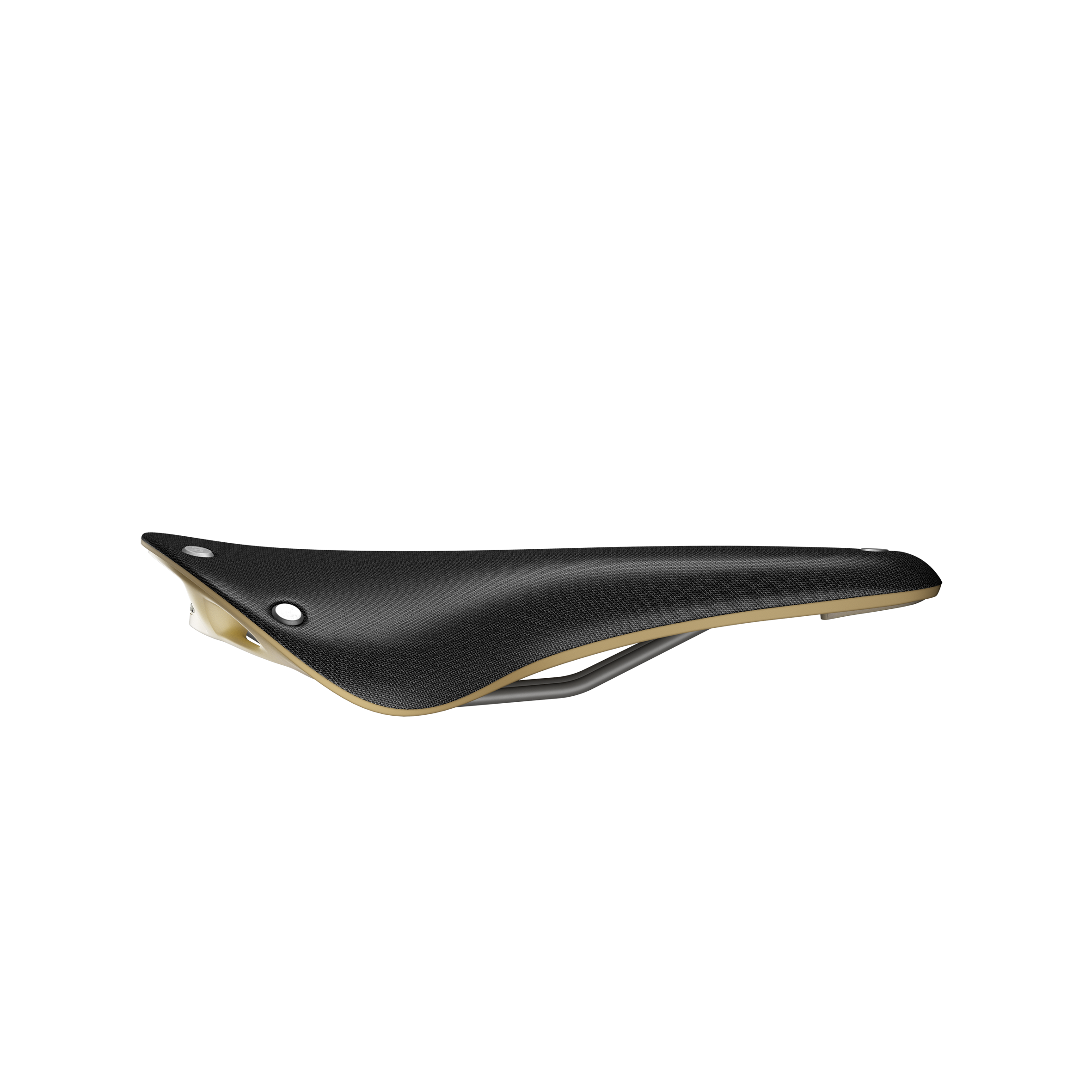 Brooks Cambium C17 Speciaal zadel zwart