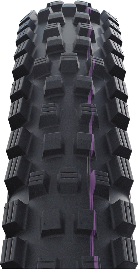 SCHWALBE Magic Mary Super Downhill Evolution Faltreifen 26x2.60" TLE E-25 Addix Ultra Soft schwarz