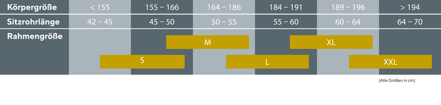 Kalkhoff Endeavour 5 Advance+ Wave gitgrijs mat